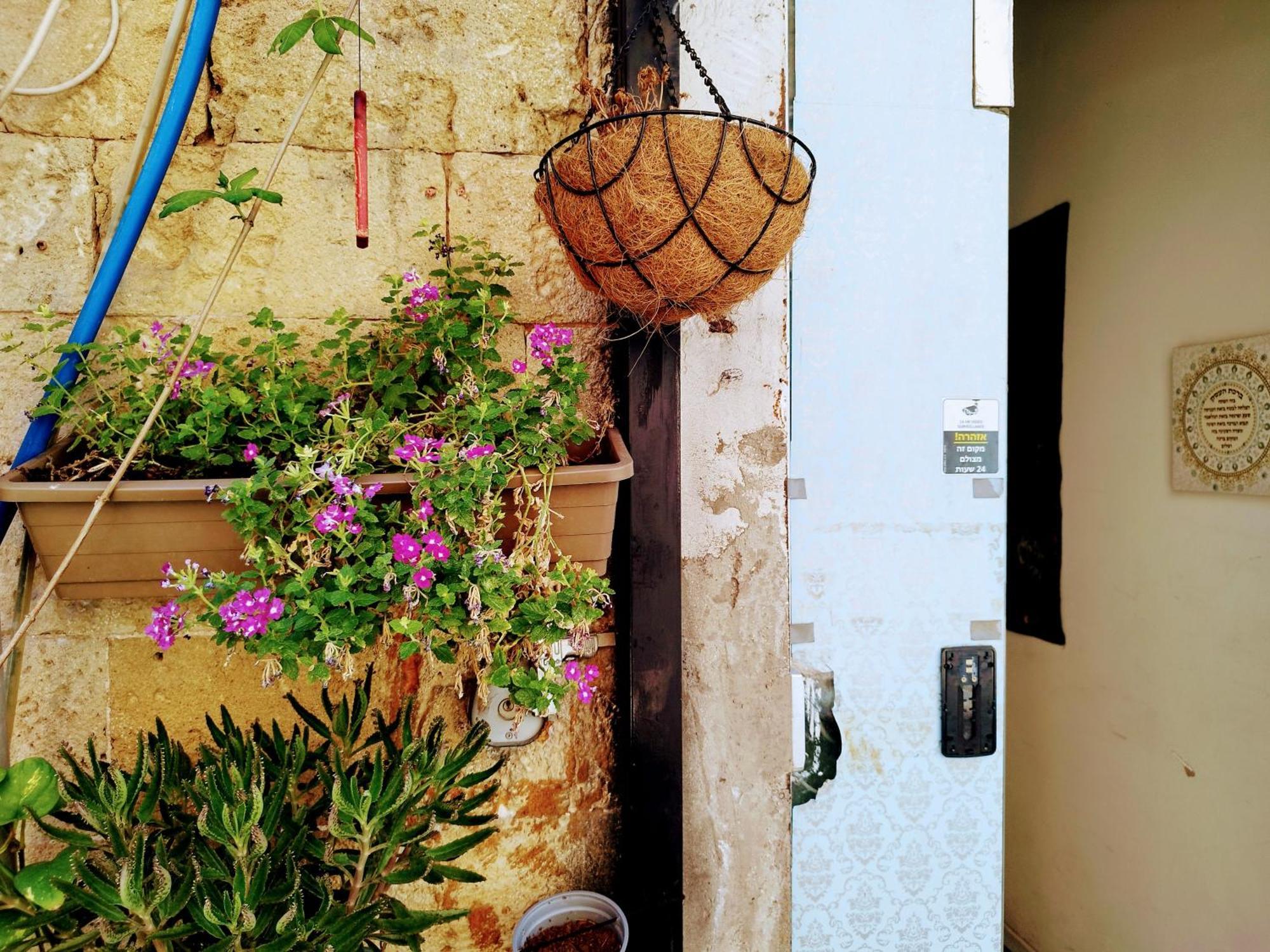 Polihosts Old Jaffa Hostel Tel-Aviv Kültér fotó